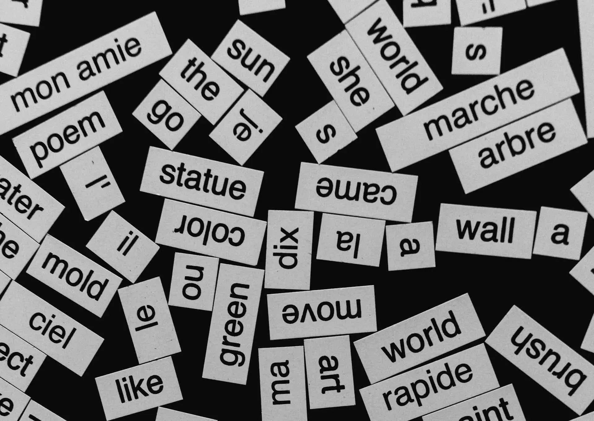A visual representation of the 1,000 most common words concept in language learning, showing how a small subset of vocabulary covers the majority of everyday conversations